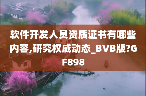 软件开发人员资质证书有哪些内容,研究权威动态_BVB版?GF898