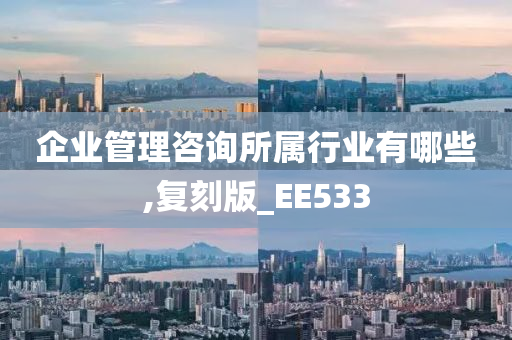 企业管理咨询所属行业有哪些,复刻版_EE533