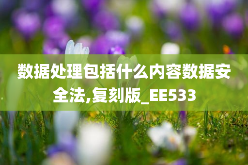 数据处理包括什么内容数据安全法,复刻版_EE533