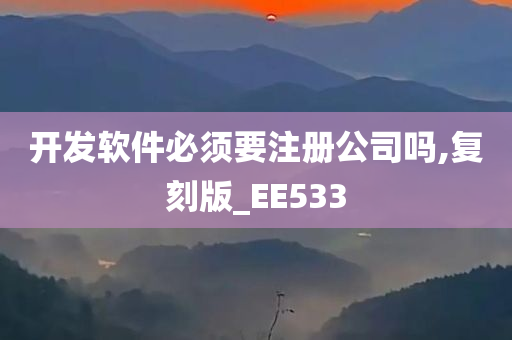 开发软件必须要注册公司吗,复刻版_EE533