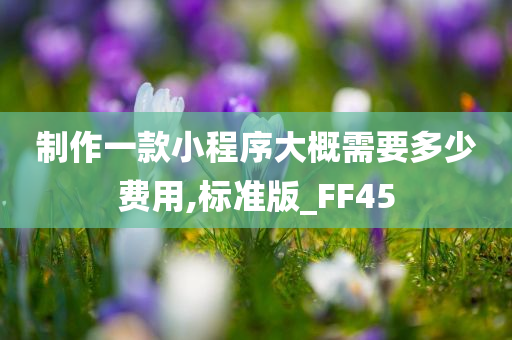 制作一款小程序大概需要多少费用,标准版_FF45