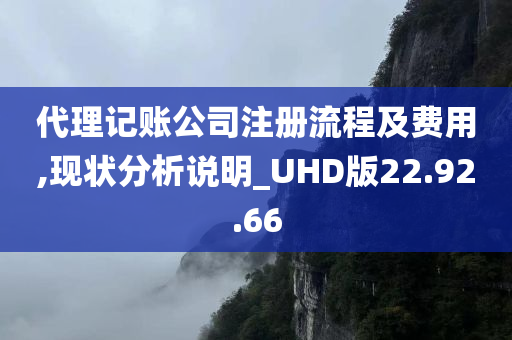 代理记账公司注册流程及费用,现状分析说明_UHD版22.92.66