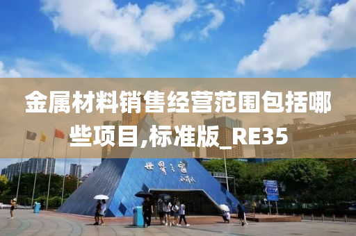 金属材料销售经营范围包括哪些项目,标准版_RE35