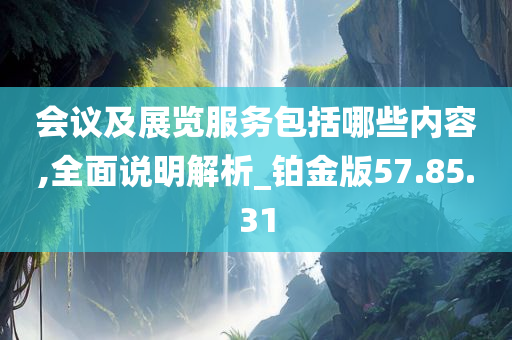 会议及展览服务包括哪些内容,全面说明解析_铂金版57.85.31