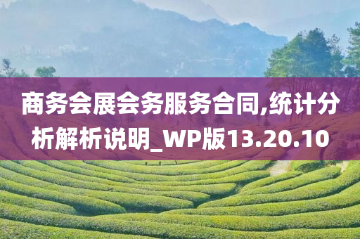 商务会展会务服务合同,统计分析解析说明_WP版13.20.10