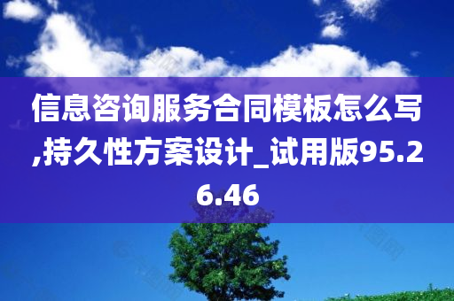 信息咨询服务合同模板怎么写,持久性方案设计_试用版95.26.46