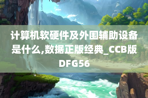 计算机软硬件及外围辅助设备是什么,数据正版经典_CCB版DFG56