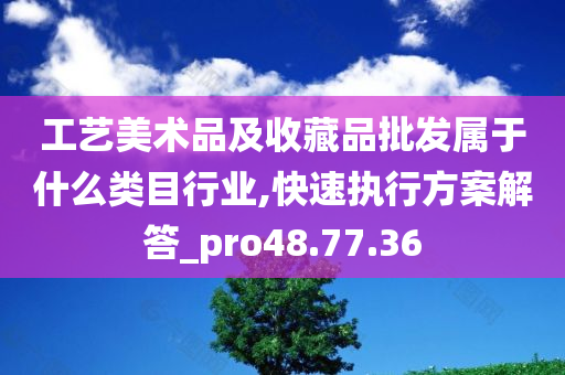 工艺美术品及收藏品批发属于什么类目行业,快速执行方案解答_pro48.77.36