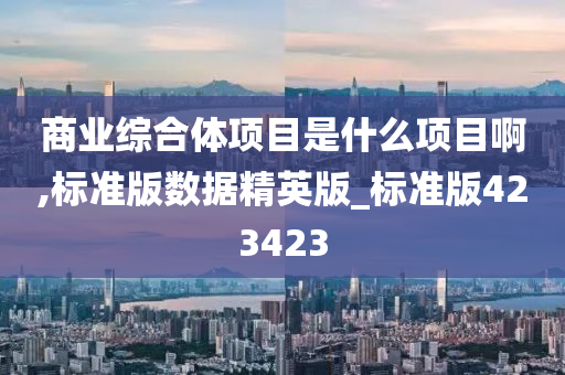 商业综合体项目是什么项目啊,标准版数据精英版_标准版423423