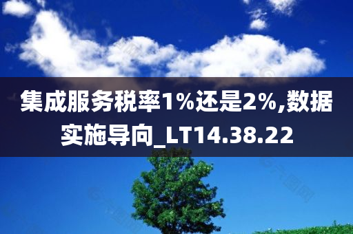 集成服务税率1%还是2%,数据实施导向_LT14.38.22