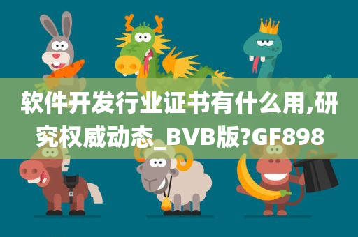 软件开发行业证书有什么用,研究权威动态_BVB版?GF898