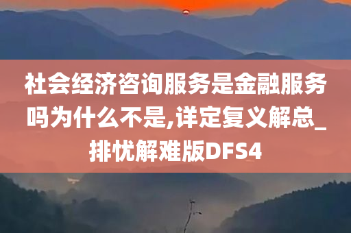 社会经济咨询服务是金融服务吗为什么不是,详定复义解总_排忧解难版DFS4