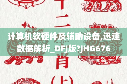 计算机软硬件及辅助设备,迅速数据解析_DFJ版?JHG676