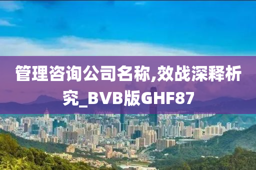 管理咨询公司名称,效战深释析究_BVB版GHF87