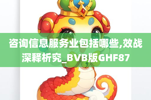 咨询信息服务业包括哪些,效战深释析究_BVB版GHF87