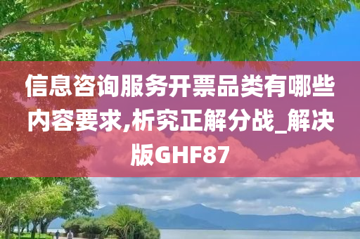 信息咨询服务开票品类有哪些内容要求,析究正解分战_解决版GHF87