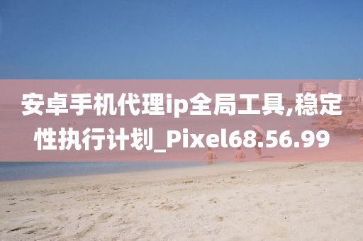 安卓手机代理ip全局工具,稳定性执行计划_Pixel68.56.99