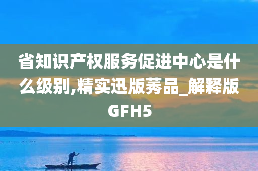 省知识产权服务促进中心是什么级别,精实迅版莠品_解释版GFH5