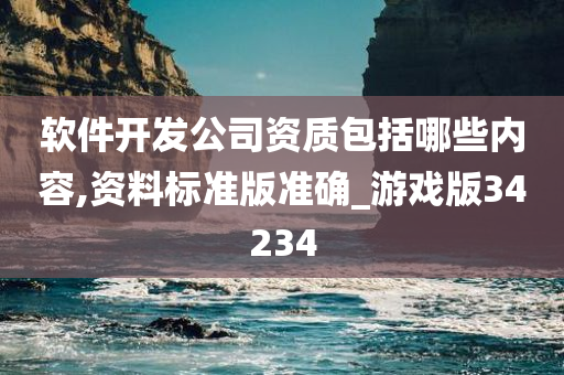 软件开发公司资质包括哪些内容,资料标准版准确_游戏版34234