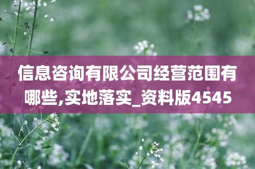 信息咨询有限公司经营范围有哪些,实地落实_资料版4545