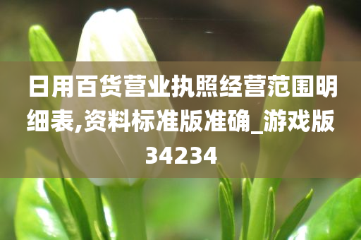 日用百货营业执照经营范围明细表,资料标准版准确_游戏版34234