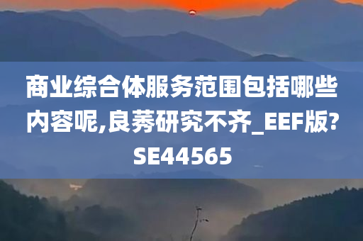 商业综合体服务范围包括哪些内容呢,良莠研究不齐_EEF版?SE44565