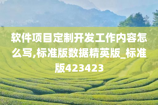 软件项目定制开发工作内容怎么写,标准版数据精英版_标准版423423