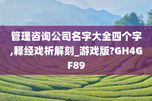 管理咨询公司名字大全四个字,释经戏析解刻_游戏版?GH4GF89