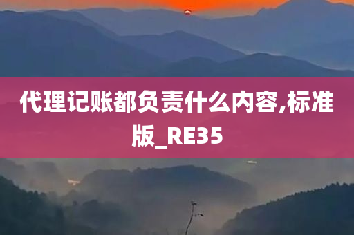 代理记账都负责什么内容,标准版_RE35