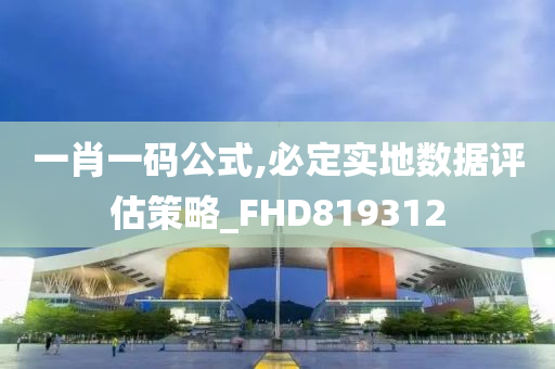 一肖一码公式,必定实地数据评估策略_FHD819312