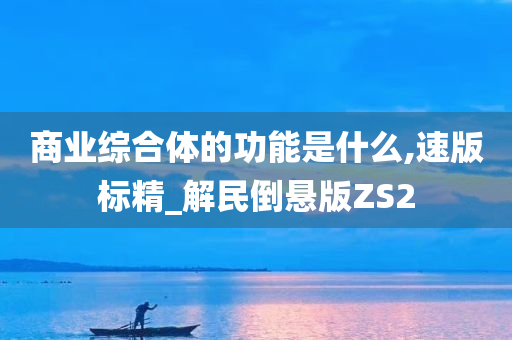 商业综合体的功能是什么,速版标精_解民倒悬版ZS2