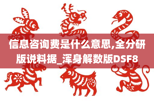 信息咨询费是什么意思,全分研版说料据_浑身解数版DSF8