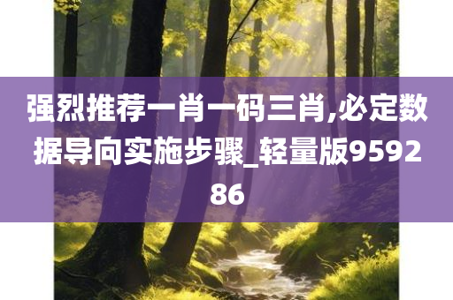 强烈推荐一肖一码三肖,必定数据导向实施步骤_轻量版959286