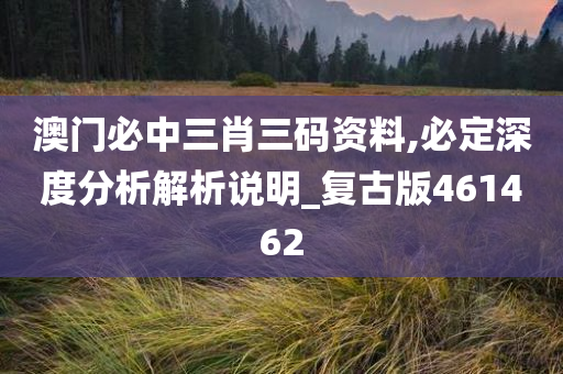 澳门必中三肖三码资料,必定深度分析解析说明_复古版461462