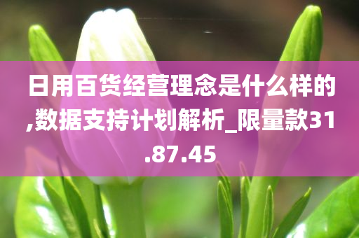 日用百货经营理念是什么样的,数据支持计划解析_限量款31.87.45