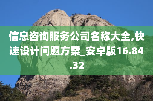 信息咨询服务公司名称大全,快速设计问题方案_安卓版16.84.32