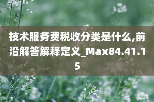 技术服务费税收分类是什么,前沿解答解释定义_Max84.41.15