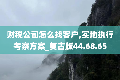 财税公司怎么找客户,实地执行考察方案_复古版44.68.65