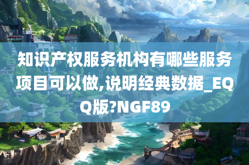 知识产权服务机构有哪些服务项目可以做,说明经典数据_EQQ版?NGF89