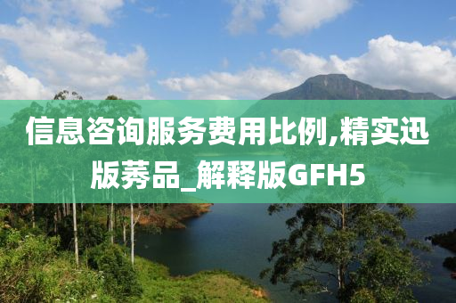 信息咨询服务费用比例,精实迅版莠品_解释版GFH5