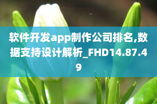 软件开发app制作公司排名,数据支持设计解析_FHD14.87.49