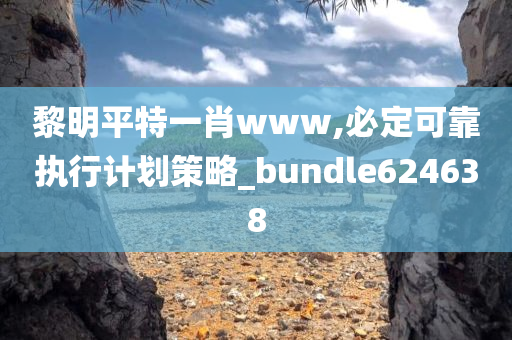 黎明平特一肖www,必定可靠执行计划策略_bundle624638