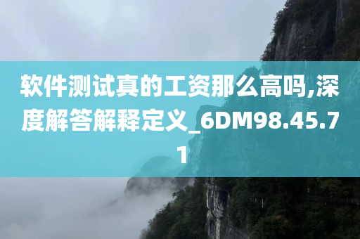 软件测试真的工资那么高吗,深度解答解释定义_6DM98.45.71