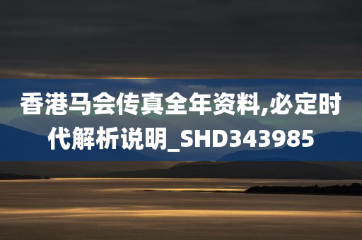 香港马会传真全年资料,必定时代解析说明_SHD343985