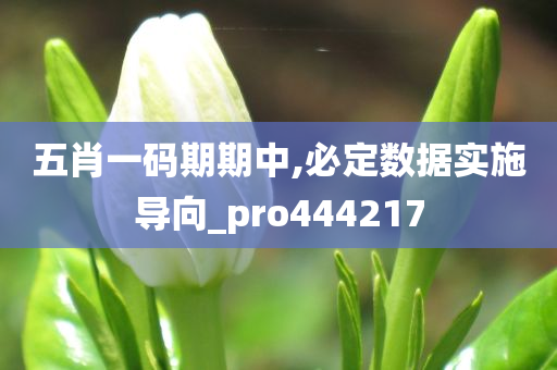 五肖一码期期中,必定数据实施导向_pro444217