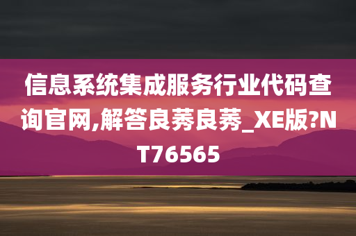 信息系统集成服务行业代码查询官网,解答良莠良莠_XE版?NT76565