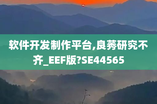 软件开发制作平台,良莠研究不齐_EEF版?SE44565