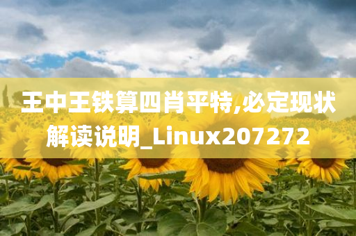 王中王铁算四肖平特,必定现状解读说明_Linux207272