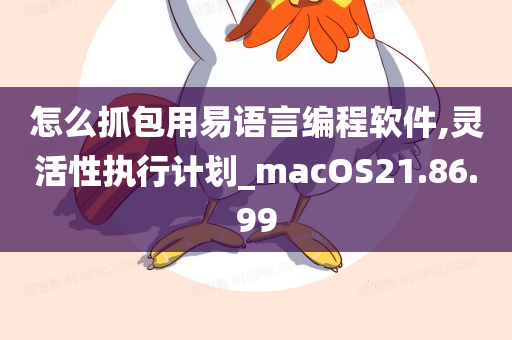 怎么抓包用易语言编程软件,灵活性执行计划_macOS21.86.99