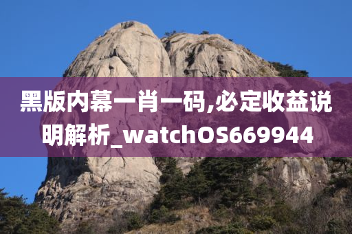 黑版内幕一肖一码,必定收益说明解析_watchOS669944